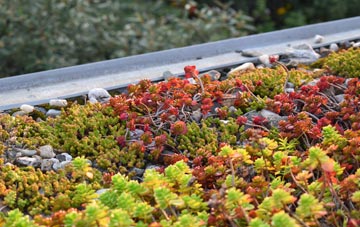 the cost of West Holywell green roof installation