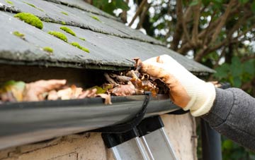 gutter cleaning West Holywell, Tyne And Wear