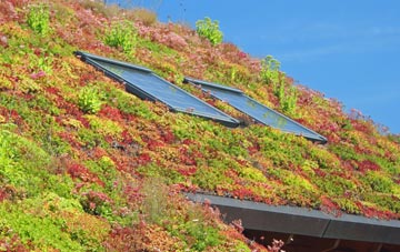 West Holywell living roof systems