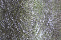 West Holywell fibreglass roof work